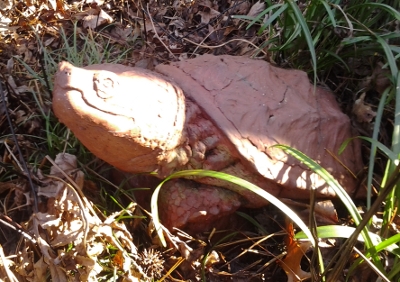 Snapper, from Garden of Destiny: The Norfolk Botanical Garden – A Natural Treasure, by Amy Waters Yarsinske